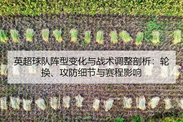 ying-chao-qiu-dui-zhen-xing-bian-hua-yu-zhan-shu-tiao-zheng-pou-xi-lun-huan-gong-fang-xi-jie-yu-sai-cheng-ying-xiang-2-689.jpg